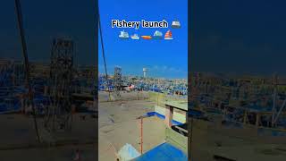 Fishery launch fypシ゚viral my youtubchannelsubscribe viralshorts viralvideo [upl. by Annabal258]