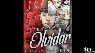 Cuitla Vega  Te Voy A Olvidar ft CKan Audio Oficial [upl. by Esineg]