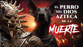 Descubre la HISTORIA del PERRO del DIOS AZTECA de la MUERTE 😱  XOLOITZCUINTLE [upl. by Venola240]