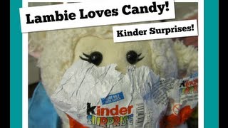 229 Lambie Loves Candy Kinder Surprises  LambCam [upl. by Madaras]