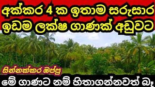 ලක්ෂ ගාණක් අඩුවට විකුණන අක්කර 4 ක සින්නක්කර ඉඩම  Pol idam  Coconut land Land for sale  idam sale [upl. by Callida882]