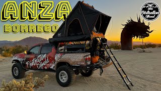 BEST CAMPING LOCATION IN SOCAL  Anza Borrego Trail Feature [upl. by Luckin]