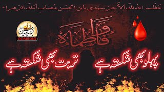 Pehlu Bhi Shikasta Hai Turbat Bhe Shikasta Ha I Marsiya Hazar Fatima I Syed Nadeem Qasim I AAMedia [upl. by Acirdna268]