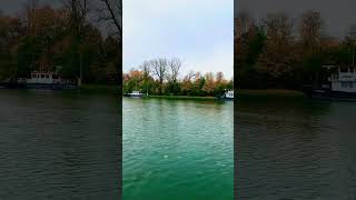 herbst deutschland main autumn reisen youtube youtubeshorts [upl. by Tham]