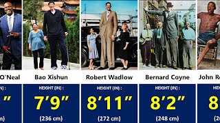 Tallest People in the World  Height Comparison [upl. by Ranger]