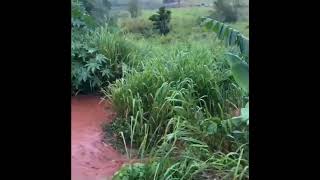 Flooding in jamaica 🇯🇲 [upl. by Northrop]