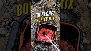 TK SECRET BURLEY  What is the Team Kingies fishing secret burley mix howtofish fishingcheat [upl. by Harima]