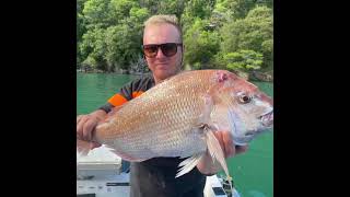 Kenepuru amp Pelorus sounds 8day lads trip amp the JB snapper classic comp 2021 [upl. by Oman363]