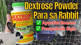 Dextrose Powder para sa Rabbit [upl. by Healion511]