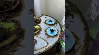 Taking care my garden herbal aerogarden plants food [upl. by Notle]