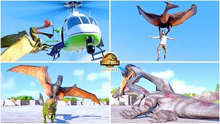 All Flying Reptiles Animations Quetzalcoatlus Pteranodon Dimorphodon 🦖 Jurassic World Evolution 2 [upl. by Asilec130]