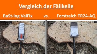 BaStIng ValFix vs Forstreich TR24AQ [upl. by Esiuqram]