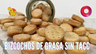 Bizcochitos de grasa sin gluten  QuéMañana [upl. by Patt]