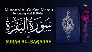 Soothing AlQuran Recitation Surah AlBaqarah💕Alaa Aqel  ngaji recitation سورةالبقرة [upl. by Ahtnammas633]