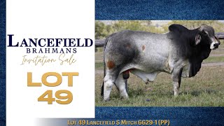 Lot 49 Lancefield S Mitch 66291 PP [upl. by Bondon]