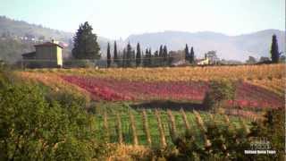 Enchanting Chianti Wine Tour  with Stefano Rome Tours [upl. by Mccully]