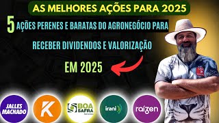 5 Ações Do Agronegócio Para 2025  Dividendos e Valorização [upl. by Hamal]