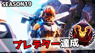 プレデター達成  SEASON19【APEX LEGENDS】 [upl. by Hnib839]