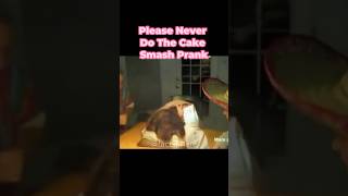 Never Do The Cake Smash Prank shorts [upl. by Kesia604]