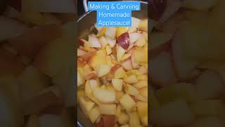 Homemade Applesauce Making And Canning FULL Tutorial on my Channel food apples [upl. by Yhtrod503]