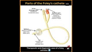 Foley catheter nursing patientcare fundamentalanalysis urine [upl. by Anig]