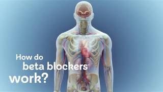 How do beta blockers work [upl. by Avelin]