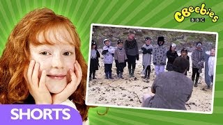 CBeebies Katie Morag  Seals [upl. by Doralynne]