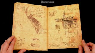 LEONARDO DA VINCI CODEX VOM FLUG DER VÖGEL  Blättern im Faksimile 4k  UHD [upl. by Ande167]