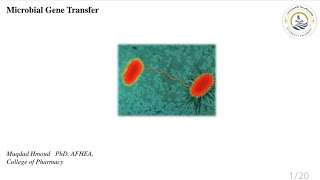 medical microbiology  microbial gene transfer pt2 Ar [upl. by Annitsirhc]