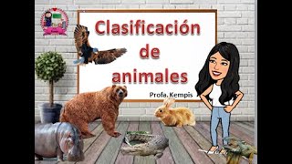 Clasificación de animales color piel domésticos y silvestres [upl. by Ainotna]