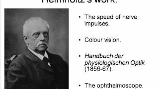 Helmholtz and Donders Psychology HPsy 45 [upl. by Euqilegna]