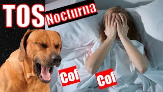 Tos CARDIACA en perros 🍓 ¿No te deja dormir [upl. by Ydeh]