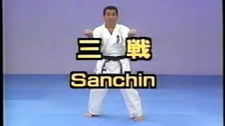 Kyokushin 101 Sanchin [upl. by Yecart431]