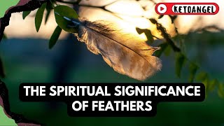 The Spiritual Significance of Feathers in the Law of Attraction [upl. by Aksel]