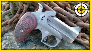 🐻Not Your Average Bear🐻 Bond Arms Grizzly 45 Colt amp 410 Derringer Range Review amp First Shots [upl. by Donica]