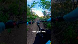 Cool trail in Bountiful mtb mountainbiking [upl. by Edwin46]