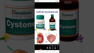 पथरी का ईलाज Treatment of stone Cystone tablets Cystone Syrup Kidney stone Urinary bladder stone [upl. by Bouzoun356]