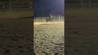 Progress with Amos horse rodeo fypage polebending fyp horses [upl. by Arvin]