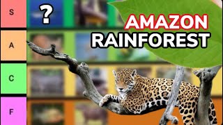 The Amazon Animal Tier List [upl. by Tuppeny681]