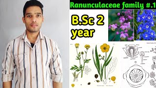 Ranunculaceae family floral formula daigram and Economic importance BSc 2 year [upl. by Niddala661]