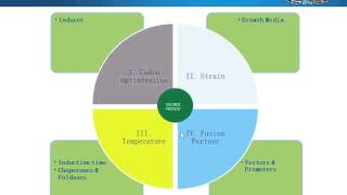 Chaperone co expression strategies for recombinant soluble protein production in E Coli [upl. by Saisoj843]