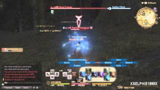 Final Fantasy XIV A Realm Reborn  Conjurer Hunting Log Rank 2  1120 [upl. by Ahsinna849]