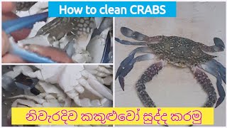 How to clean CRABS 🦀 හරියටම කකුළුවො සුද්ද කරමු srilanka cookwithru [upl. by Neelav983]