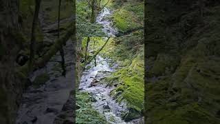 ☆HARZ☆ Obere Ilsefälle harz wald germany hiking watefall watersounds harzerwandernadel [upl. by Eniamzaj]