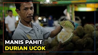 Manis Pahit Durian Ucok Medan [upl. by Hubble250]