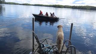 Newboro Lake near Westport Ontario [upl. by Box]