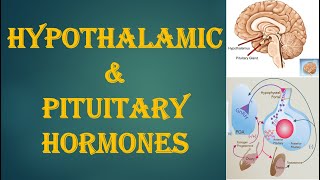 Hypothalamic amp Pituitary Hormones [upl. by Simons328]