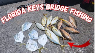 Florida Keys Bridge Fishing Clean amp Cook [upl. by Athal]