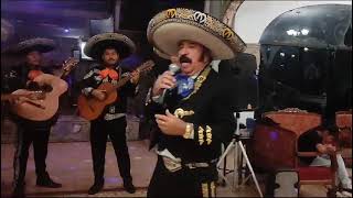 Mariachis en el Cono Sur 999940336 Videos YouTube El Charro quotAmadorquot y quotCristelquot SJM VMT VS [upl. by Laurie]