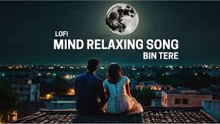 bin tere  lofi  slow reverb  Javed Ali  new hindi song  peddy jey [upl. by Zelig998]